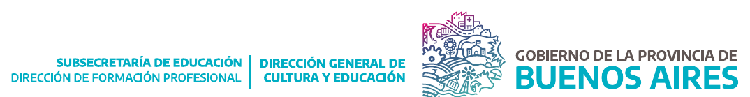 Dirección de Formación Profesional, Dirección General de Cultura y Educación, Gobierno de la Provincia de Buenos Aires